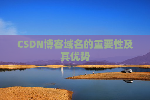 CSDN博客域名的重要性及其优势